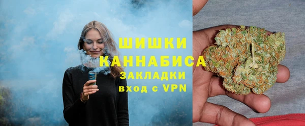 кокс Инсар