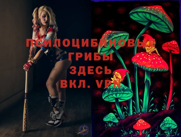 молекула духа Абинск