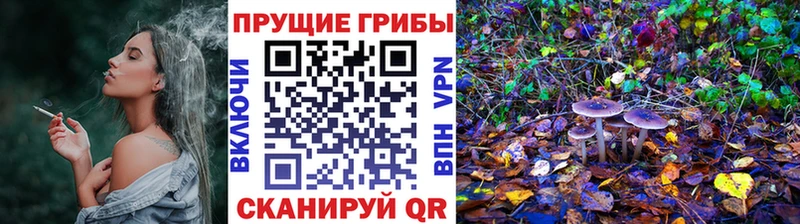 как найти закладки  Старый Крым  Галлюциногенные грибы мухоморы 